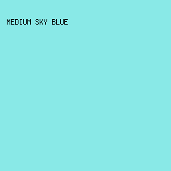 89e9e7 - Medium Sky Blue color image preview