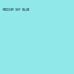 90E8E8 - Medium Sky Blue color image preview