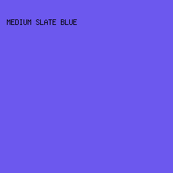 6C58EE - Medium Slate Blue color image preview