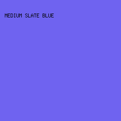 6F63F0 - Medium Slate Blue color image preview