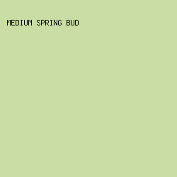 CADDA4 - Medium Spring Bud color image preview
