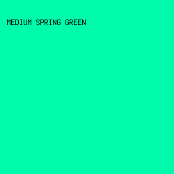 00FCAA - Medium Spring Green color image preview