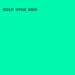 00f7af - Medium Spring Green color image preview