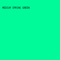 00fa9a - Medium Spring Green color image preview