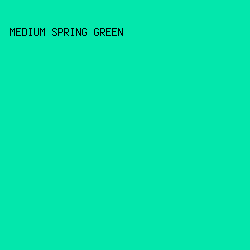 03E7AC - Medium Spring Green color image preview