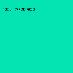 04E3B2 - Medium Spring Green color image preview