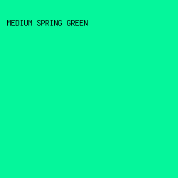 05F69B - Medium Spring Green color image preview