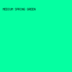 05FFA1 - Medium Spring Green color image preview