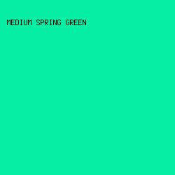 06EEA3 - Medium Spring Green color image preview