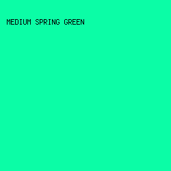 0BFDA6 - Medium Spring Green color image preview