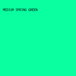 0affa0 - Medium Spring Green color image preview