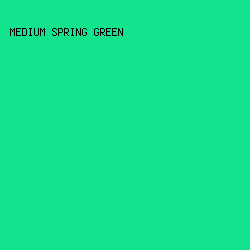12E48E - Medium Spring Green color image preview