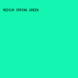 13F5B1 - Medium Spring Green color image preview