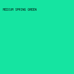 15E4A1 - Medium Spring Green color image preview