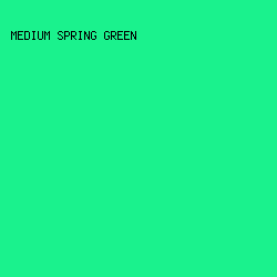 1AF28D - Medium Spring Green color image preview