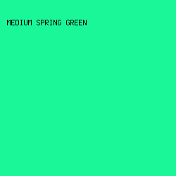 1AF799 - Medium Spring Green color image preview