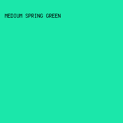 1BE7AA - Medium Spring Green color image preview