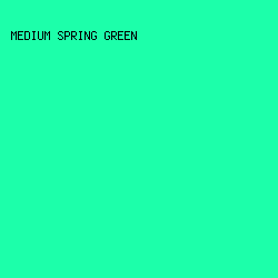 1CFFAA - Medium Spring Green color image preview