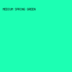 1CFFB3 - Medium Spring Green color image preview