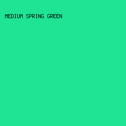 1EE494 - Medium Spring Green color image preview