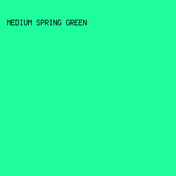 1EFC9C - Medium Spring Green color image preview