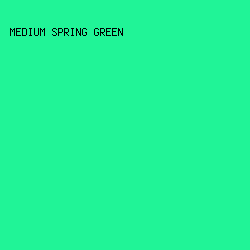 20F497 - Medium Spring Green color image preview