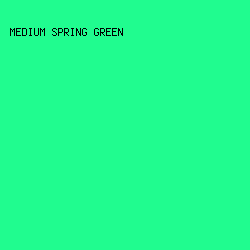 20fc8f - Medium Spring Green color image preview