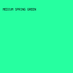 26FFA0 - Medium Spring Green color image preview