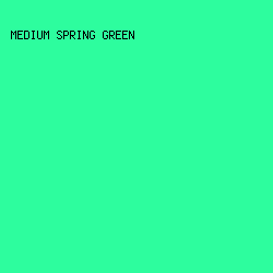 2DFD9E - Medium Spring Green color image preview