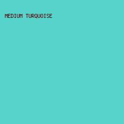 56d3cb - Medium Turquoise color image preview