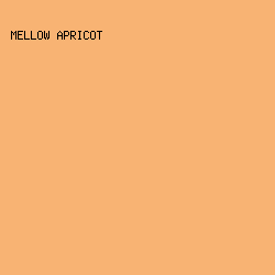 F8B373 - Mellow Apricot color image preview