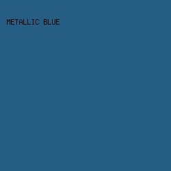 255D83 - Metallic Blue color image preview