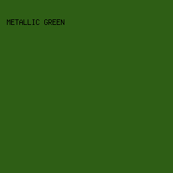 2e5e15 - Metallic Green color image preview