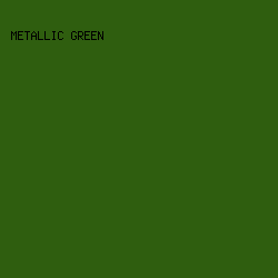 2f5e0f - Metallic Green color image preview