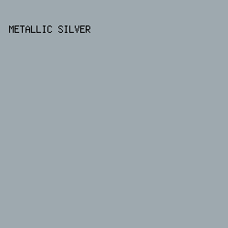 9ea9af - Metallic Silver color image preview