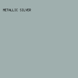 9fafae - Metallic Silver color image preview