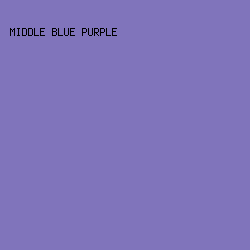 8074BB - Middle Blue Purple color image preview