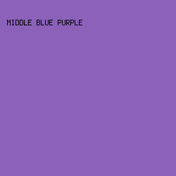 8b61ba - Middle Blue Purple color image preview