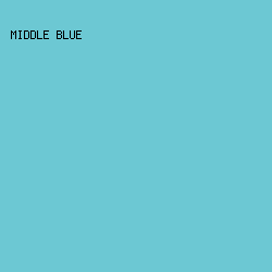 6CC8D3 - Middle Blue color image preview