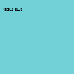 71d1d7 - Middle Blue color image preview