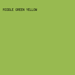 98ba50 - Middle Green Yellow color image preview