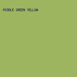 9EB560 - Middle Green Yellow color image preview