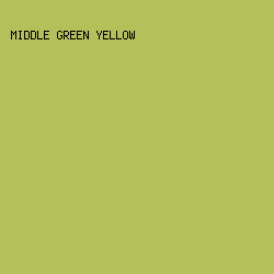 B4C059 - Middle Green Yellow color image preview