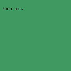 3E9A5E - Middle Green color image preview
