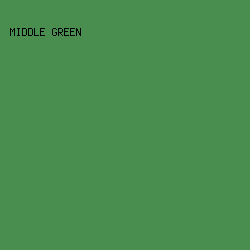 498E4E - Middle Green color image preview