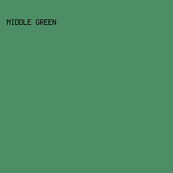 4E8E67 - Middle Green color image preview