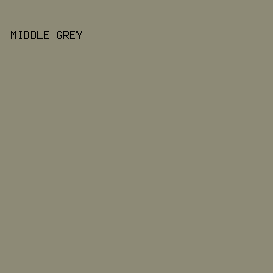 8d8a76 - Middle Grey color image preview