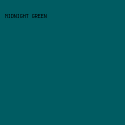 005c62 - Midnight Green color image preview
