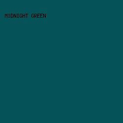 055358 - Midnight Green color image preview