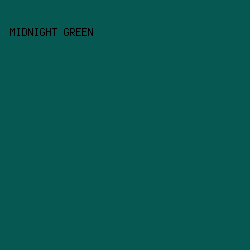 055952 - Midnight Green color image preview